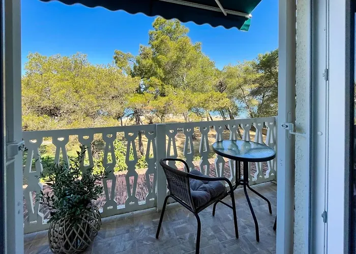 게스트하우스 By The Sea - 4309 3*