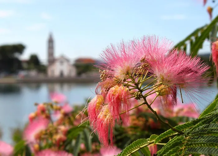 By The Sea - 4309 게스트하우스 Pašman